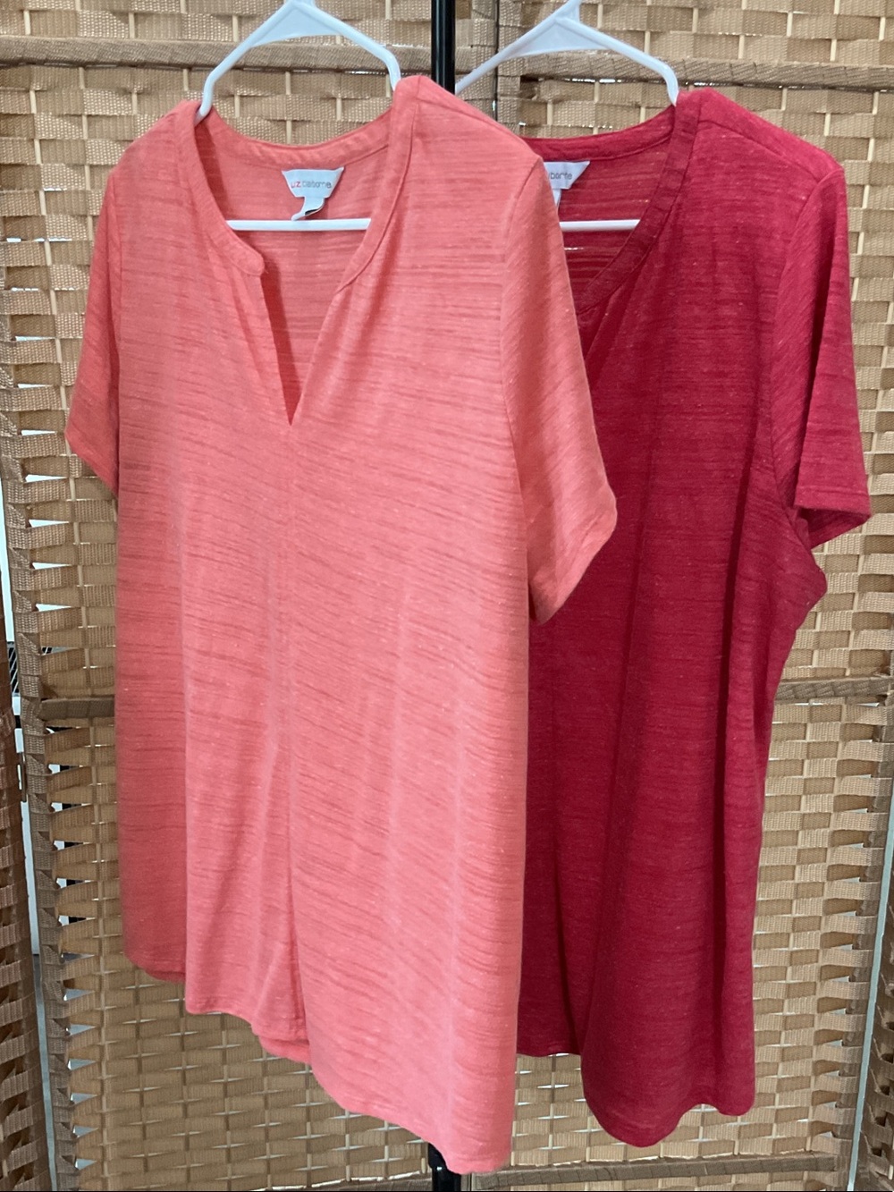 Set of 2 Liz Claiborne Split V-Neck Tunics